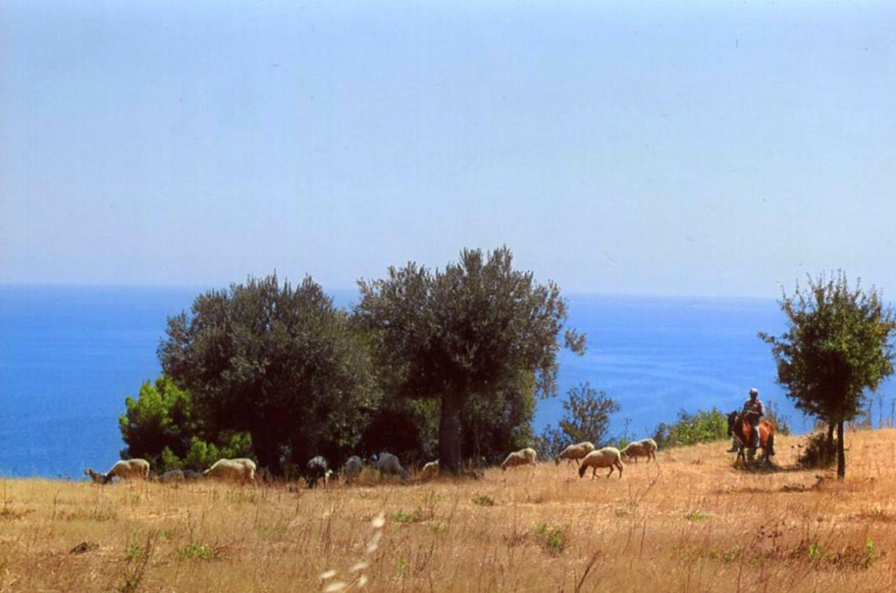 Grassetti Vila Montegiordano Exterior foto